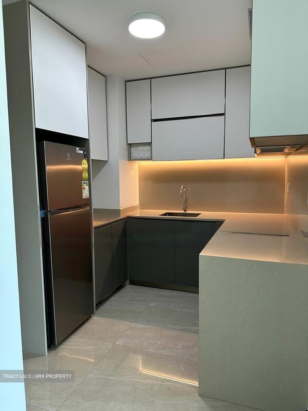 Normanton Park (D5), Apartment #481741491